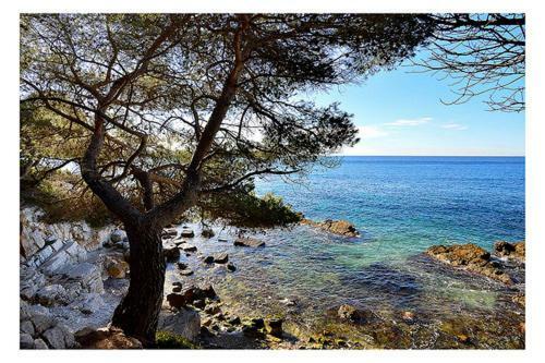 Apartamento Suquet26 Cannes Exterior foto